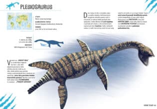 Vitajte v úžasnom svete dinosaurov! Spoznajte neuveriteľné prehistorické stvorenia a vydajte sa na cestu za poznaním mäsožravých predátorov, obrích bylinožravcov a neúprosných morských plazov.